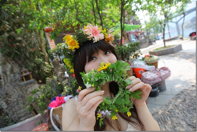 Chinese Rose and Daisy-10
