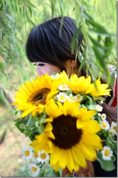 Sunflower 15
